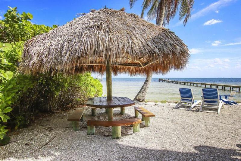 Bokeelia beach near cape coral